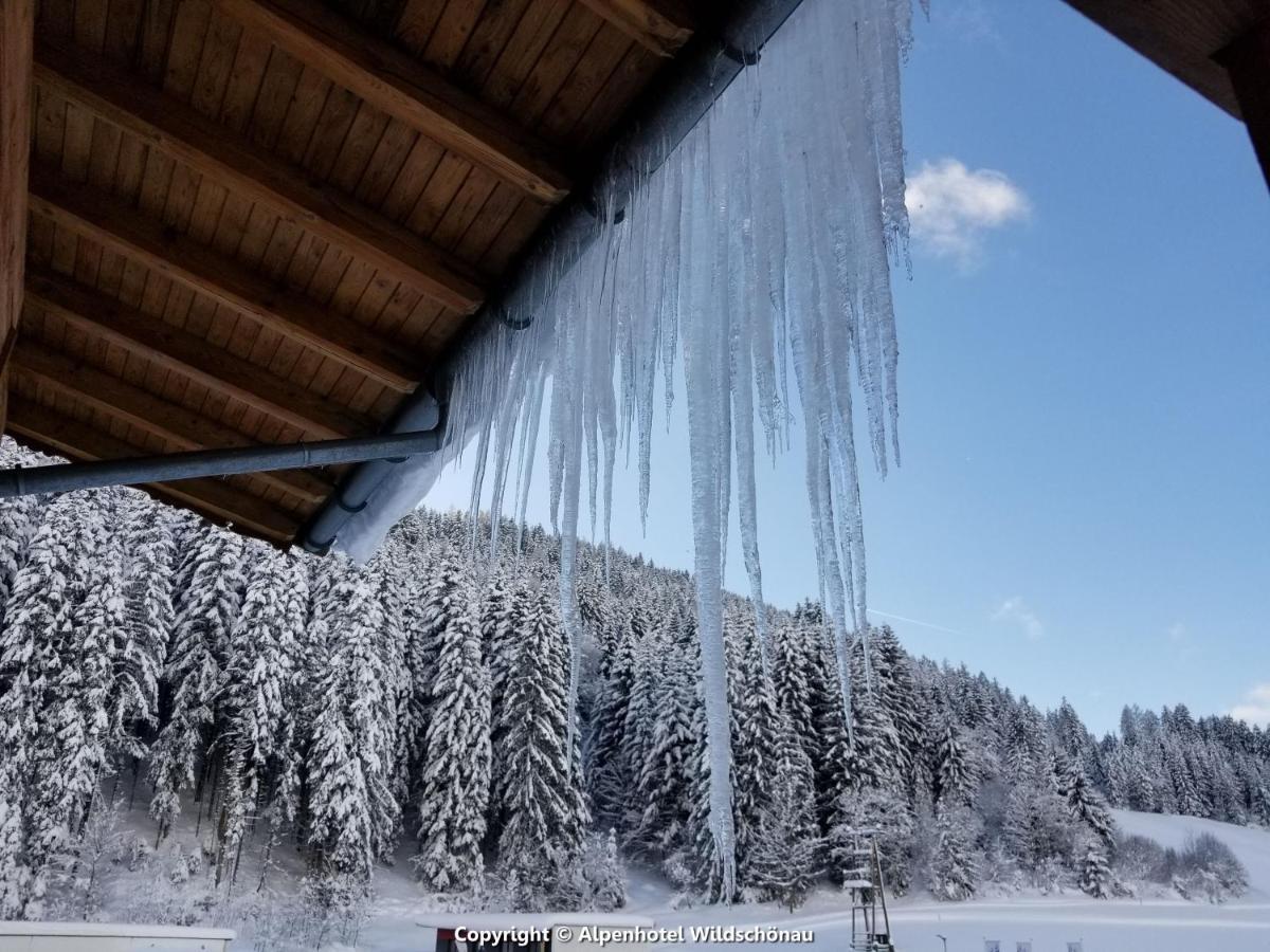 Alpenhotel Wildschoenau B&B Εξωτερικό φωτογραφία