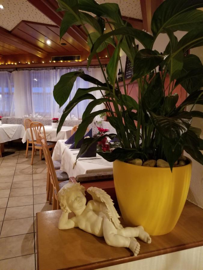 Alpenhotel Wildschoenau B&B Εξωτερικό φωτογραφία